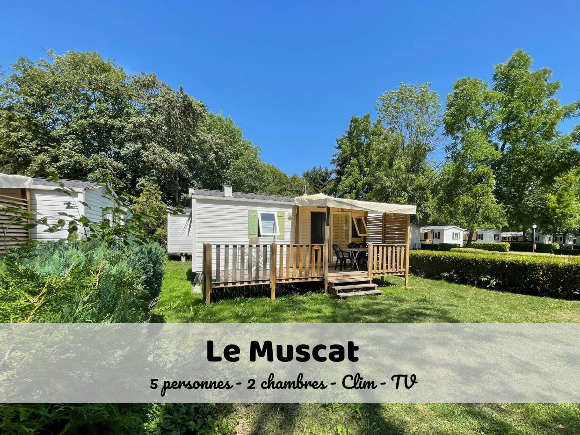 Le Muscat - Bungalow Pour 5 - Tv - Clim Boofzheim 객실 사진